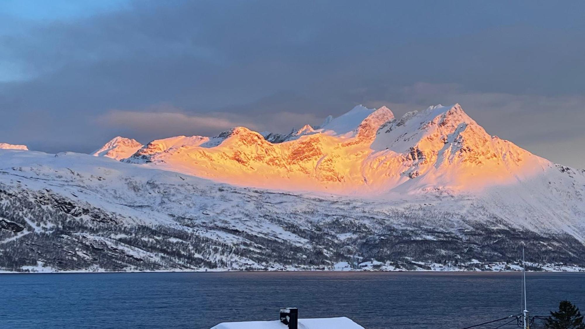 Apartamento Artic Dream Gratangen Exterior foto