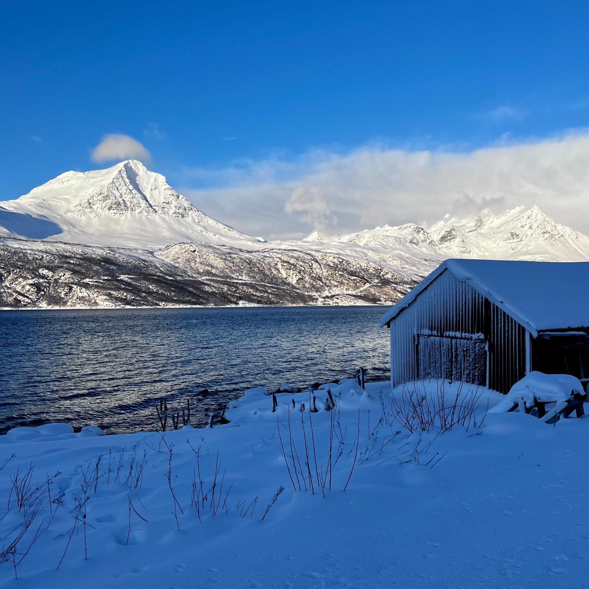 Apartamento Artic Dream Gratangen Exterior foto